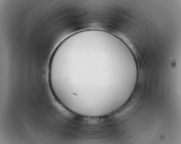 X0000100980955200807151412