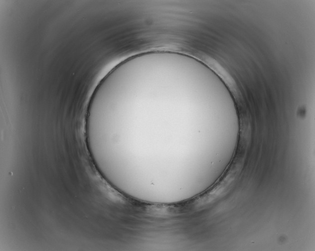 X0000100980956200807151412