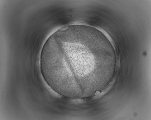 X0000100980957200807151412