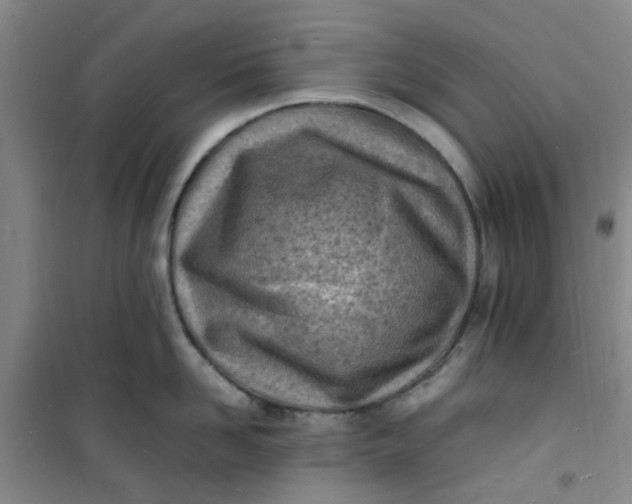 X0000100980958200807151412