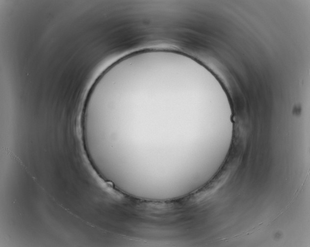 X0000100980959200807151412