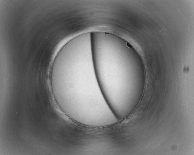 X0000100980960200807151412