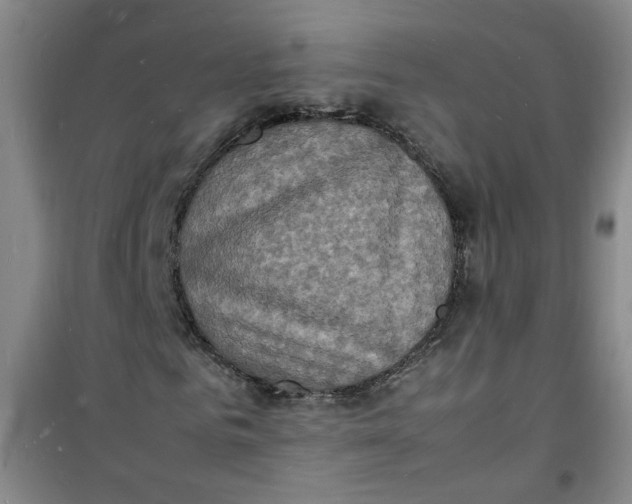 X0000100980961200807151411