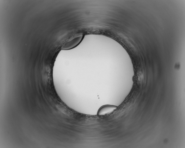 X0000100980964200807151411