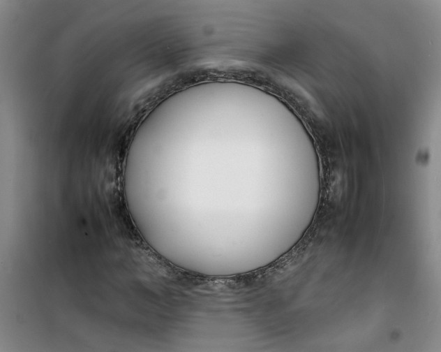 X0000100980966200807151411