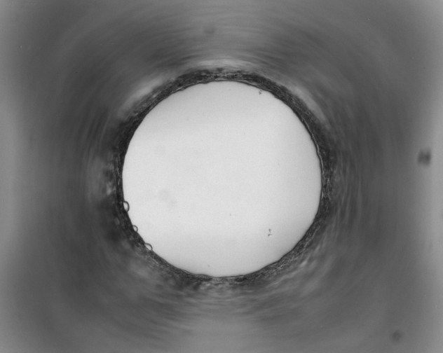 X0000100980967200807151411