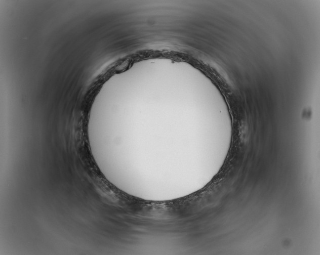 X0000100980968200807151411