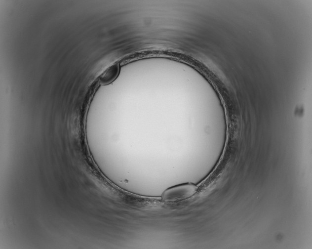 X0000100980969200807151411