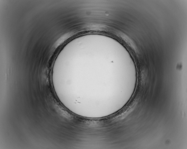 X0000100980970200807151411