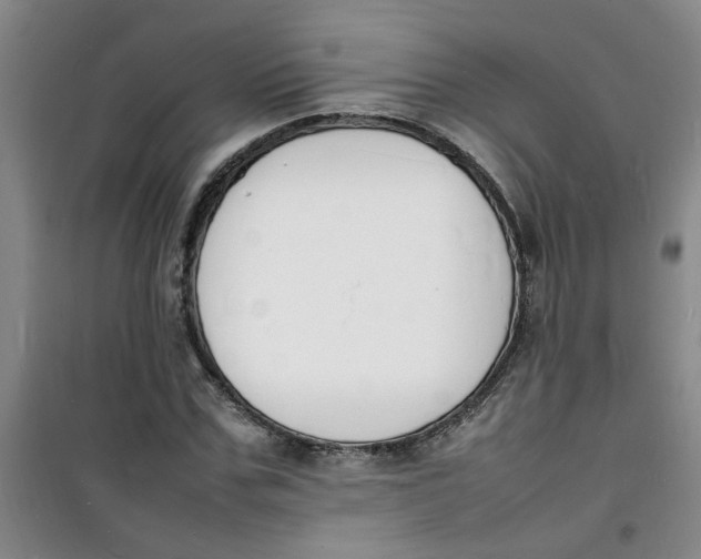 X0000100980971200807151411