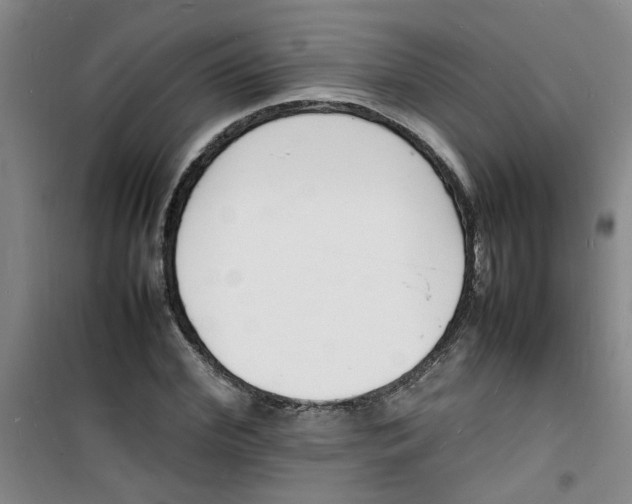 X0000100980972200807151411