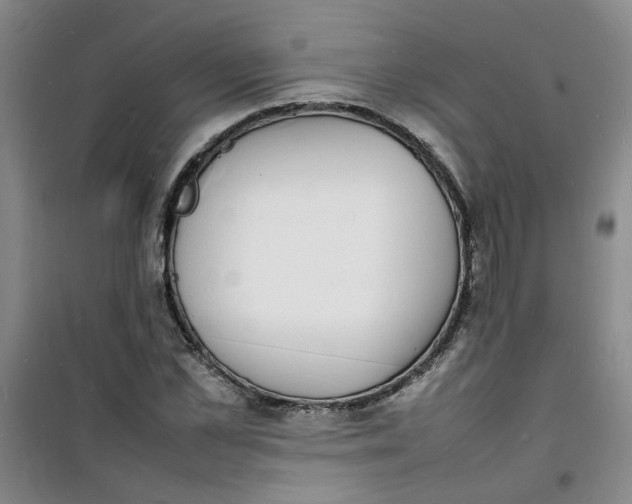 X0000100980973200807151411