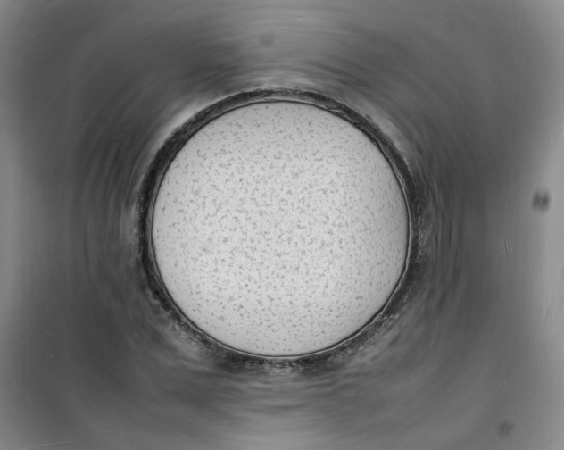 X0000100980975200807151411