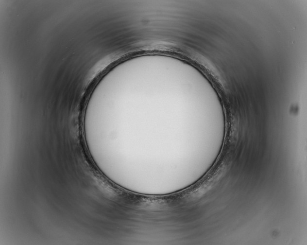 X0000100980978200807151411