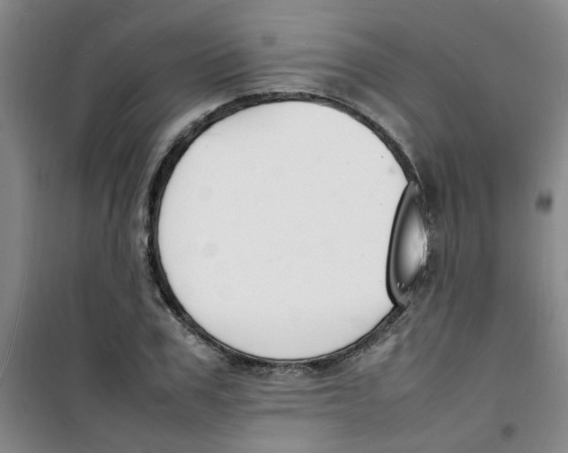 X0000100980979200807151411