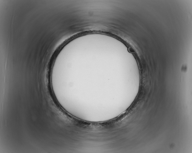 X0000100980983200807151411