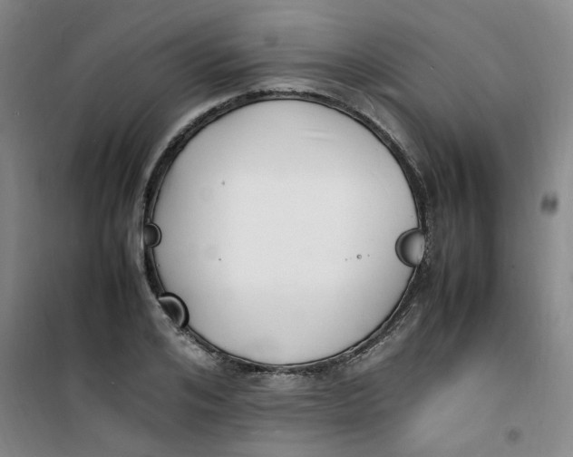 X0000100980984200807151411