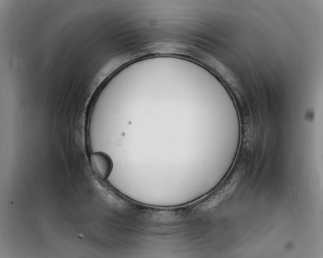 X0000100980986200807151411