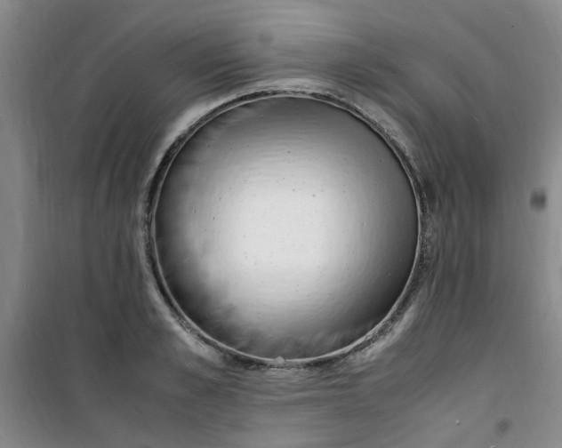 X0000100980989200807151411