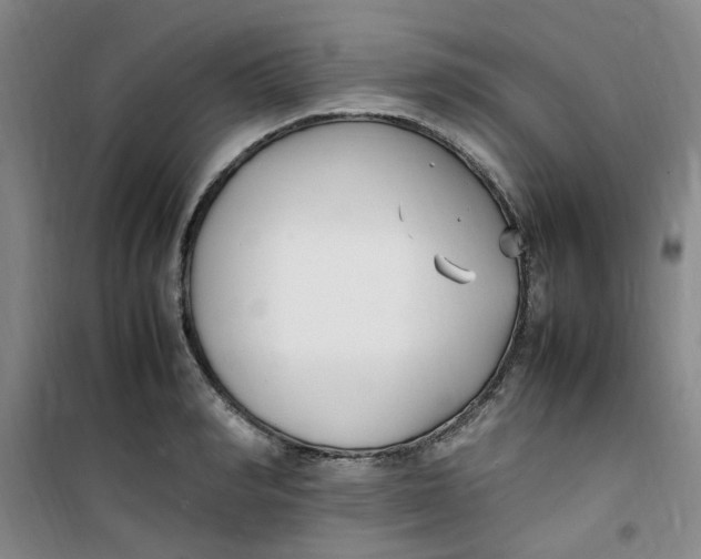 X0000100980990200807151411