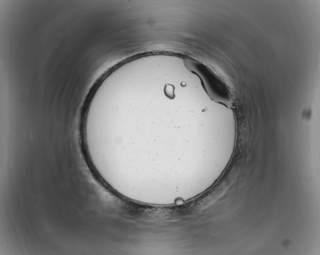 X0000100980991200807151411