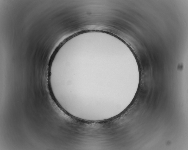 X0000100980992200807151411