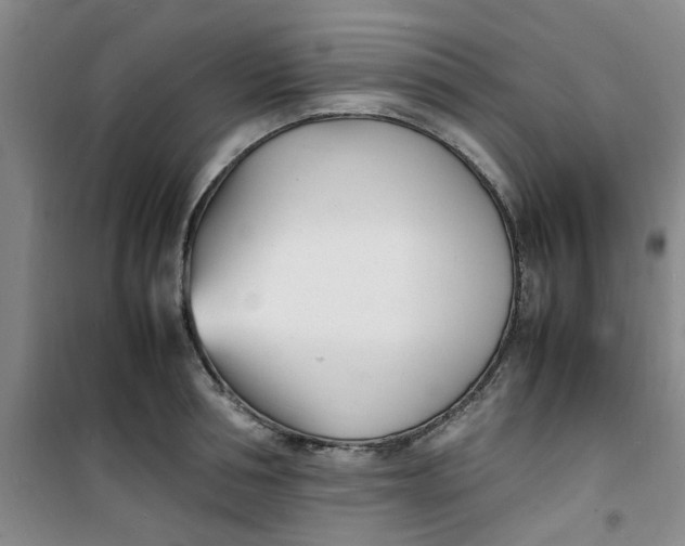 X0000100980994200807151411