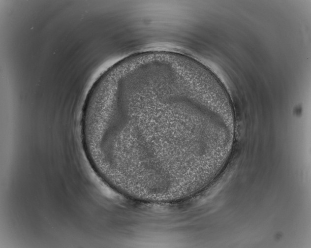 X0000100980995200807151411