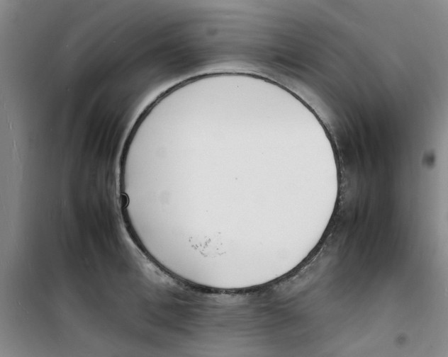 X0000100980996200807151411