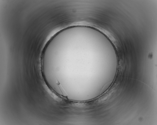 X0000100980998200807151411