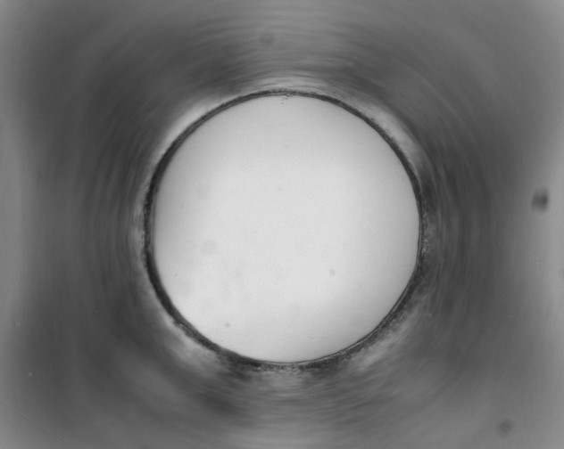 X0000100980999200807151411