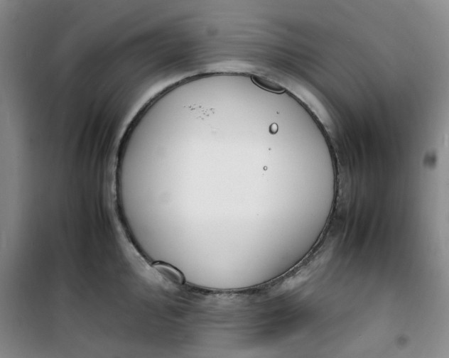 X0000100981000200807151411