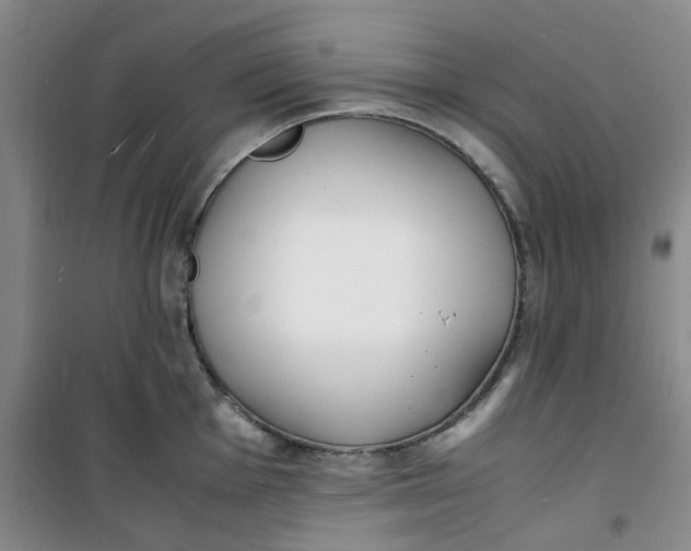 X0000100981001200807151411