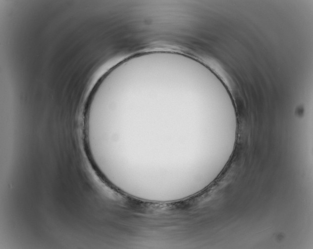 X0000100981003200807151411