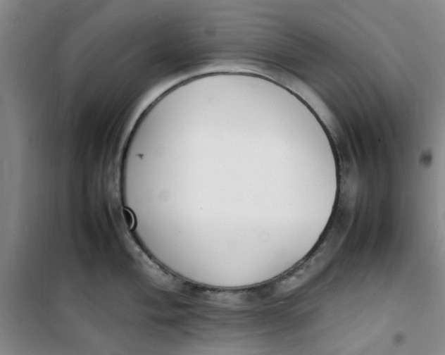 X0000100981004200807151411