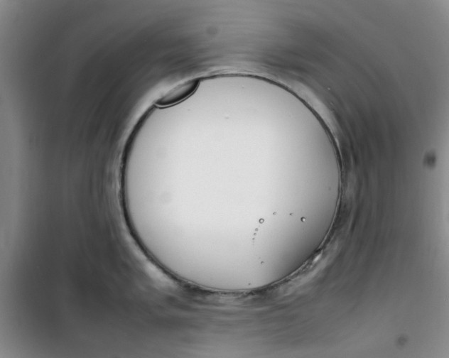 X0000100981005200807151411