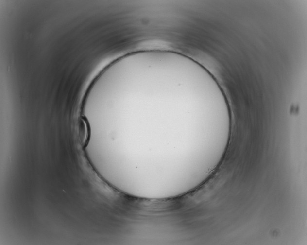 X0000100981008200807151411