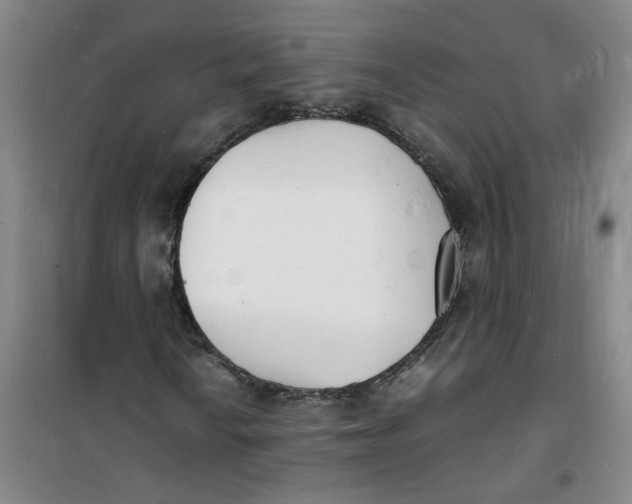 X0000100981010200807151410