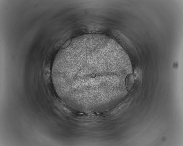 X0000100981011200807151410