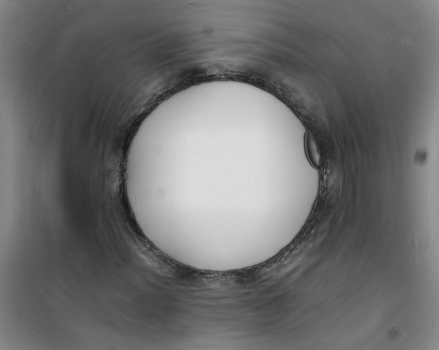 X0000100981012200807151410