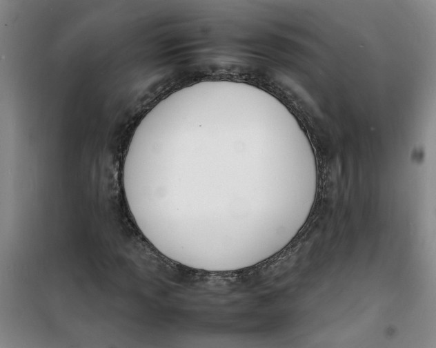 X0000100981013200807151410