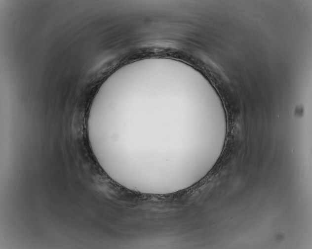 X0000100981014200807151410