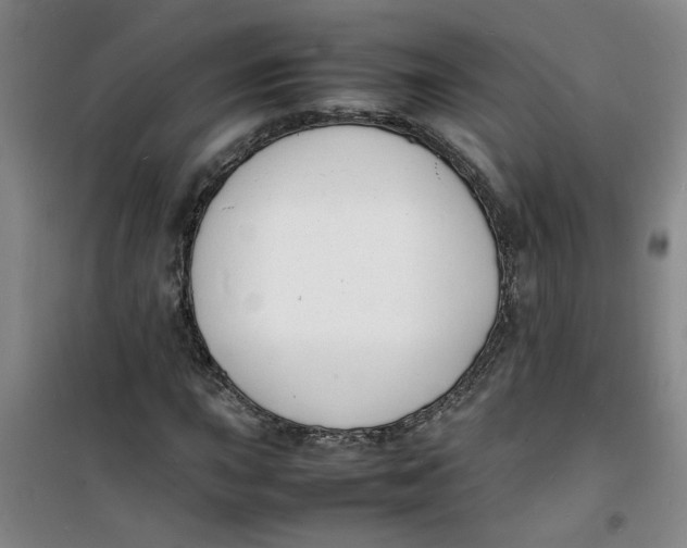 X0000100981015200807151410