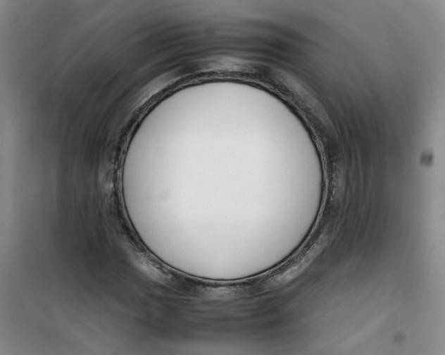 X0000100981017200807151410