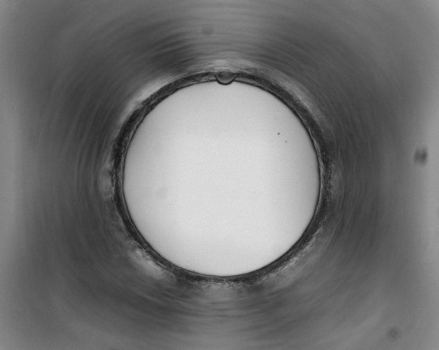 X0000100981018200807151410