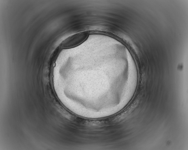 X0000100981019200807151410