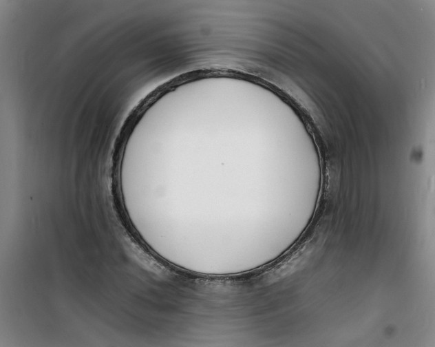 X0000100981020200807151410