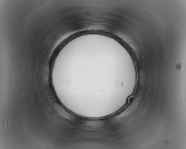 X0000100981021200807151410