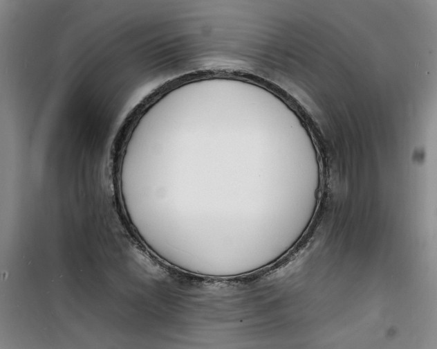 X0000100981022200807151410