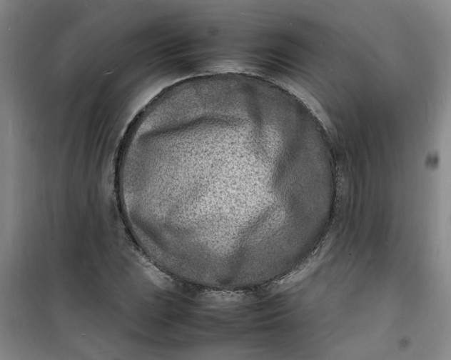 X0000100981023200807151410